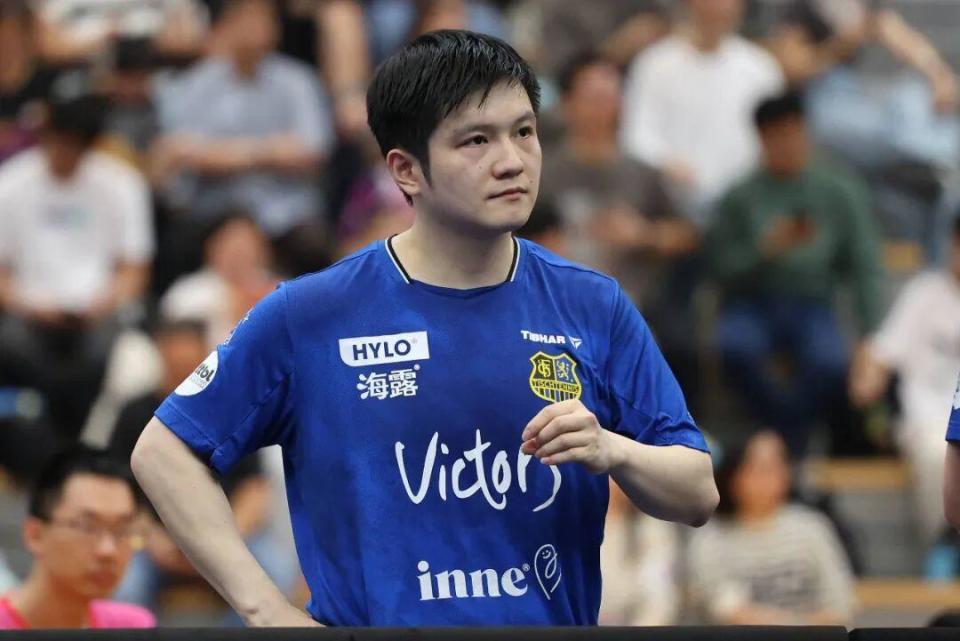 分析人士普 分析人士普