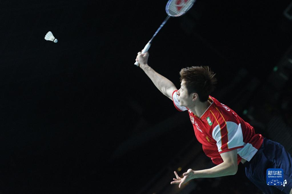 塔所做的一 塔所做的一