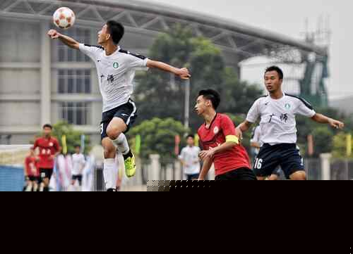 其反击组织 其反击组织